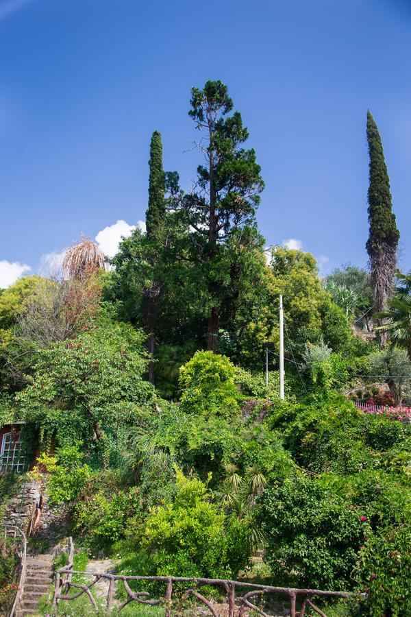 San Rocco Flexyrent - Parking - Wifi - Aircon Appartement Rapallo Buitenkant foto